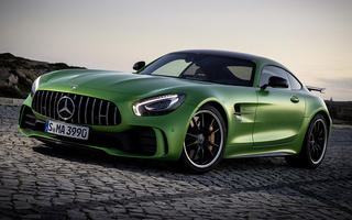 Mercedes-AMG GT R (2016) (#61698)