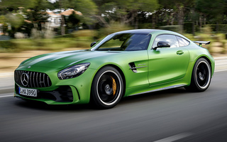 Mercedes-AMG GT R (2016) (#61700)