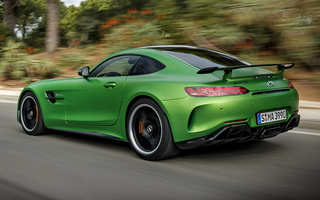 Mercedes-AMG GT R (2016) (#61701)