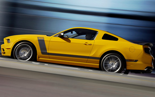 Ford Mustang Boss 302 (2012) (#6344)