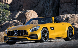 Mercedes-AMG GT C Roadster (2016) (#64688)