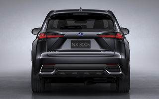 Lexus NX Hybrid (2017) (#65196)