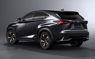 Lexus NX Hybrid (2017) (#65197)