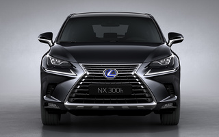 Lexus NX Hybrid (2017) (#65199)