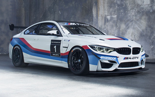 BMW M4 GT4 (2017) (#65923)