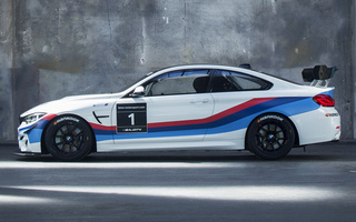 BMW M4 GT4 (2017) (#65924)