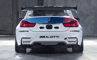 BMW M4 GT4 (2017) (#65925)