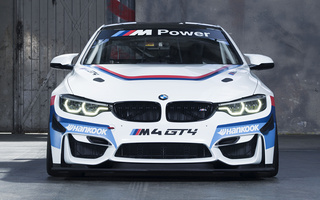 BMW M4 GT4 (2017) (#65926)