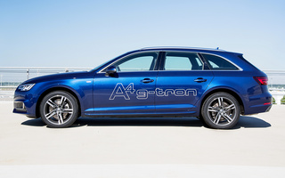 Audi A4 Avant G-Tron S line (2017) (#66280)