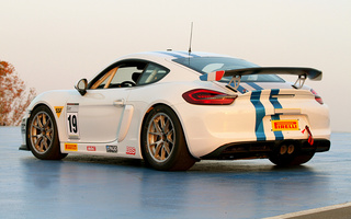 Porsche Cayman GT4 Clubsport (2015) (#67152)