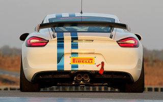 Porsche Cayman GT4 Clubsport (2015) (#67154)