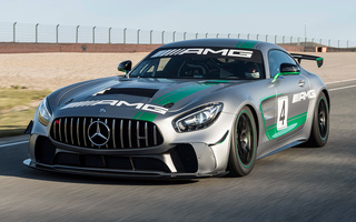 Mercedes-AMG GT4 (2017) (#67221)