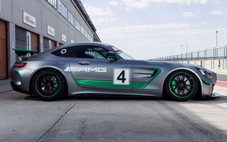 Mercedes-AMG GT4 (2017) (#67224)