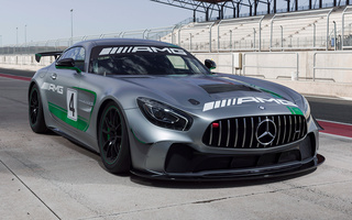 Mercedes-AMG GT4 (2017) (#67226)