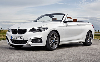 BMW 2 Series Convertible M Sport (2017) (#67254)