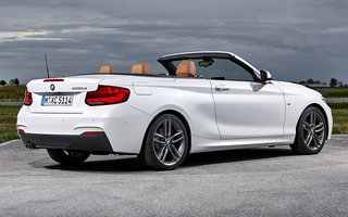 BMW 2 Series Convertible M Sport (2017) (#67256)