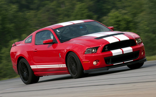 Shelby GT500 SVT (2012) (#6780)