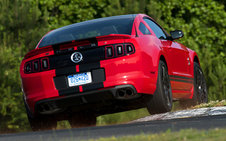 Shelby GT500 SVT (2012) (#6788)