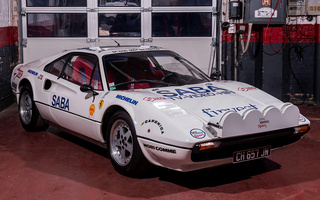 Ferrari 308 GTB Group 4 [18869] (1976) (#70282)