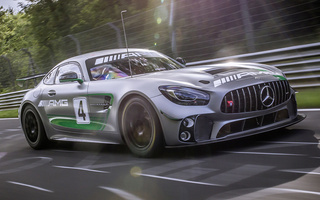 Mercedes-AMG GT4 (2017) (#71693)