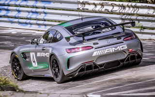 Mercedes-AMG GT4 (2017) (#71694)