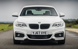BMW 2 Series Coupe M Sport (2017) UK (#72990)
