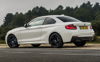 BMW 2 Series Coupe M Sport (2017) UK (#72991)