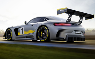 Mercedes-AMG GT3 (2015) (#73049)