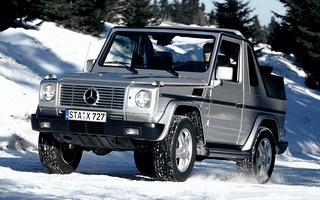 Mercedes-Benz G-Class Cabriolet (1994) (#73689)