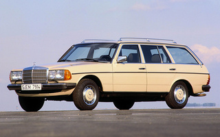 Mercedes-Benz 250 T (1978) (#74011)