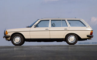 Mercedes-Benz 250 T (1978) (#74013)