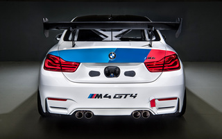 BMW M4 GT4 (2018) US (#75244)