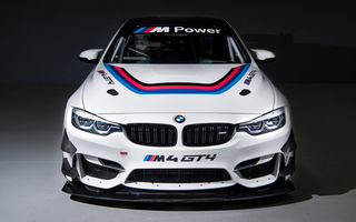 BMW M4 GT4 (2018) US (#75246)