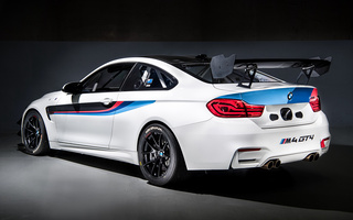 BMW M4 GT4 (2018) US (#75247)