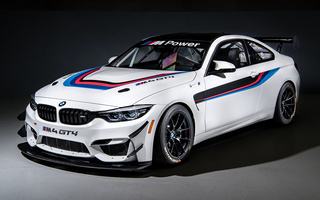 BMW M4 GT4 (2018) US (#75248)