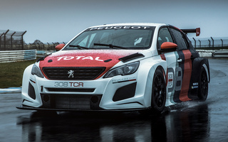 Peugeot 308 TCR (2018) (#75456)