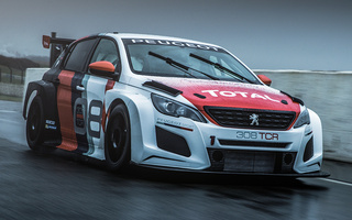 Peugeot 308 TCR (2018) (#75459)