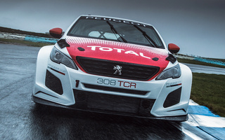 Peugeot 308 TCR (2018) (#75460)