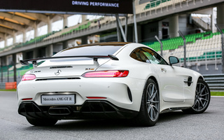 Mercedes-AMG GT R (2017) MY (#75556)