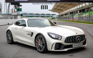 Mercedes-AMG GT R (2017) MY (#75557)