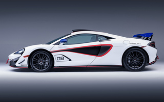 McLaren MSO X (2018) (#75950)