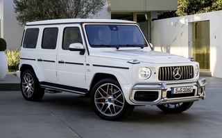 Mercedes-AMG G 63 (2018) (#76042)