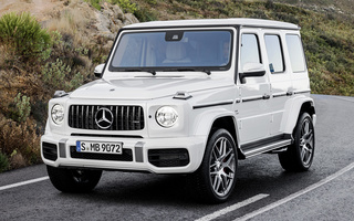 Mercedes-AMG G 63 (2018) (#76046)