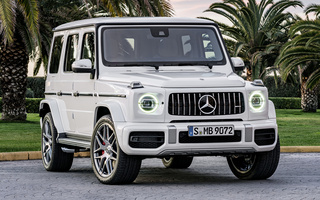 Mercedes-AMG G 63 (2018) (#76047)