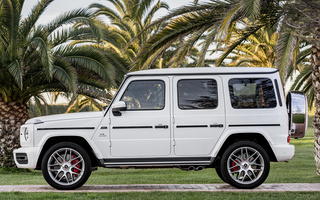 Mercedes-AMG G 63 (2018) (#76051)