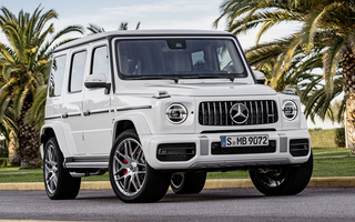 Mercedes-AMG G 63 (2018) (#76053)