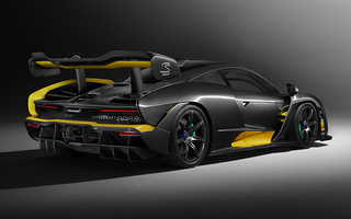 McLaren Senna Carbon Theme by MSO (2018) (#76345)