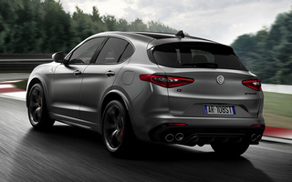 Alfa Romeo Stelvio Quadrifoglio NRing (2018) (#76753)