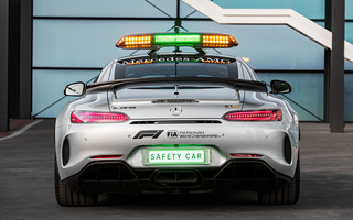 Mercedes-AMG GT R F1 Safety Car (2018) (#76915)