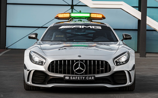 Mercedes-AMG GT R F1 Safety Car (2018) (#76916)